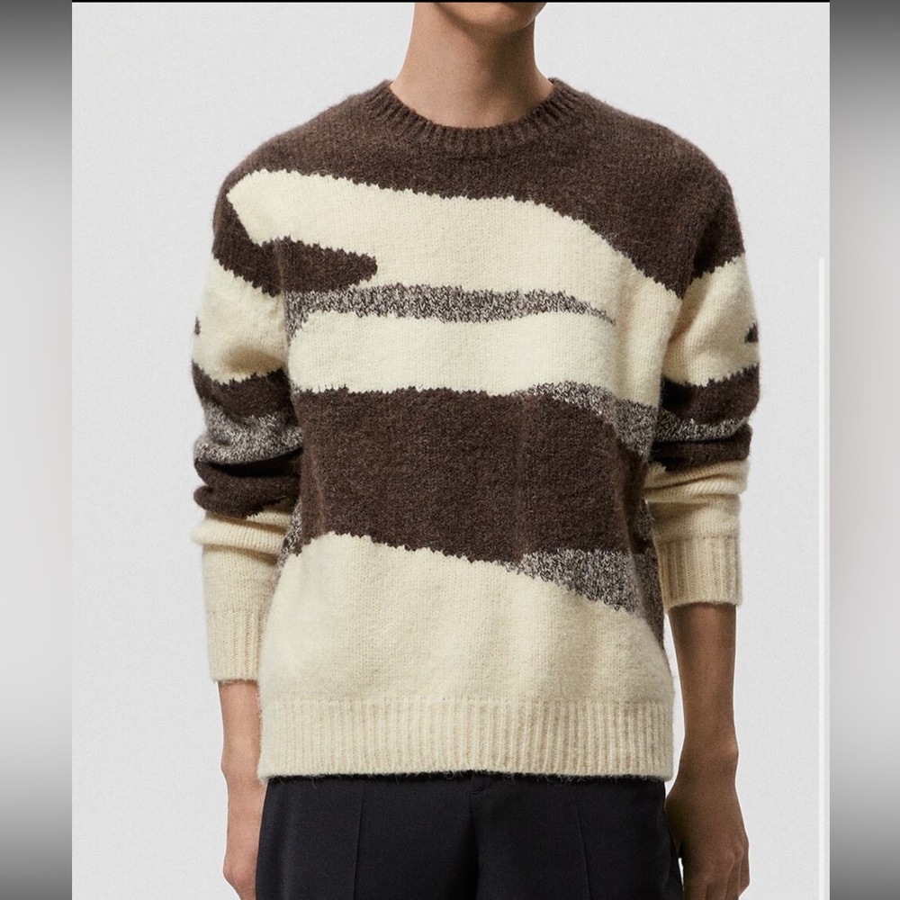 NWOT Zara Sweater